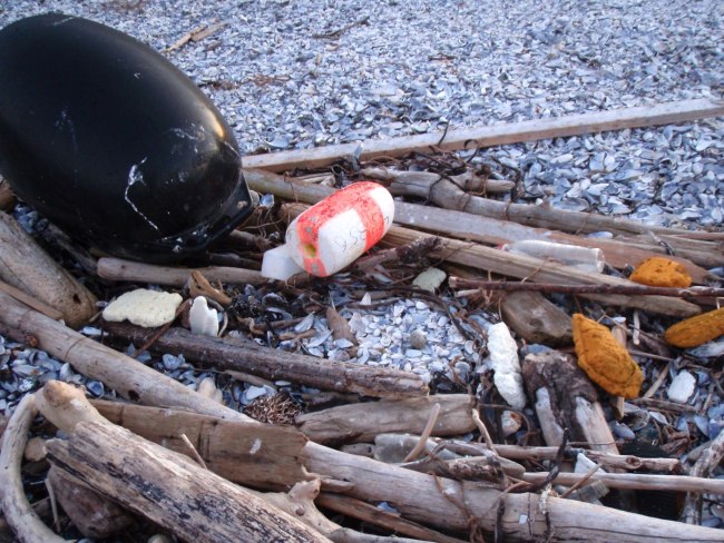 Abandoned oystercatcher nest with egg surrounded by debris